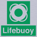 lifebuoy-with-symbol~